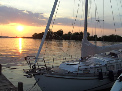 BOCCA D ARNO Marina Nova